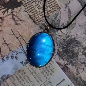 Könnte beinhalten: Eine ovale Anhängerkette mit einem leuchtend blauen, irisierenden Mittelteil, umrahmt von einem bronzefarbenen Metall. Der Anhänger hängt an einer schwarzen Kordel, vor einem Hintergrund aus Vintage-Papier mit verblichenem Text und floralen Designs.