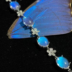Könnte beinhalten: Ein silbernes Armband mit ovalen, irisierenden blauen Edelsteinen und kleinen Blumenakzenten. Das Armband wird vor einem blauen Schmetterlingsflügel auf schwarzem Hintergrund präsentiert, um die Farbe und das Design des Schmucks hervorzuheben.