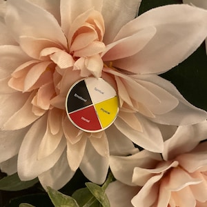 Indigenous Medicine Wheel Pin