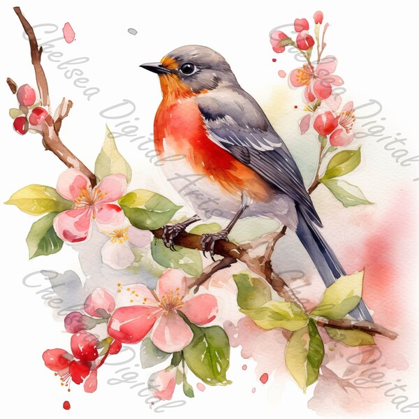 12 Robins in Spring Blossoms Part 2 Clipart - 12 High-Quality 4K JPGs for Greeting Cards, Wall Art, Crafting, Journals,  T-Shirts and Decor