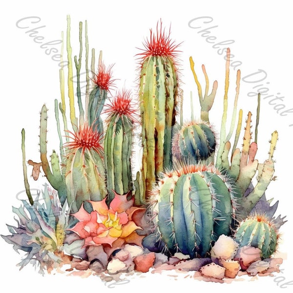 12 Beautiful Desert Cactus Blooms - Printable - Digital Downloads  - Cards - Watercolor - 300 dpi  - 8534 x 8534  - White Background