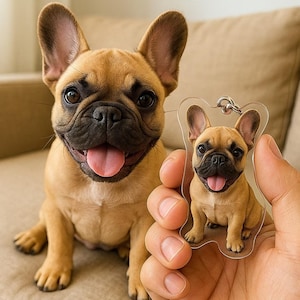 Custom Pet Photo Acrylic Keychain, Personalized Dog & Cat Shape Charm, Pet Lover Gift, Dog Mom/Dad Keepsake, Pet Memorial Keychain, 3 Styles