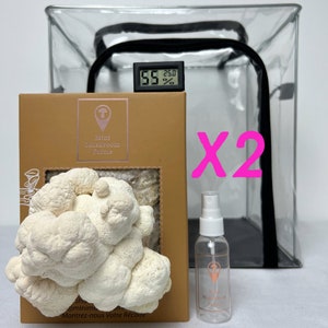 Mushroom Grow Kit Full Set plusOne - 2x Lion&#39;s Mane Farms, 1x Grow Tent, 1x Hygrometer and 1x Spray Bottle
