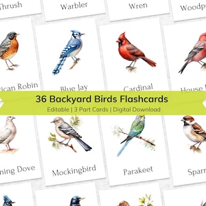 Cartes-éclair modifiables sur les oiseaux de jardin pour les enfants, cartes-éclair imprimables en 3 parties avec nomenclature pour tout-petits, matériel d'apprentissage Montessori sur les oiseaux d'âge préscolaire