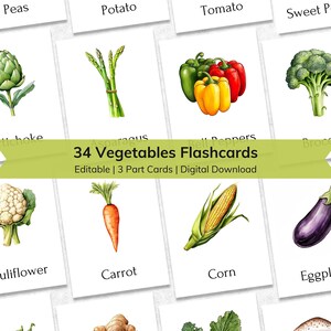 Bewerkbare groenten-flashcards voor kinderen | Educatieve 3-delige nomenclatuur flashkaarten voor peuters | Afdrukbaar montessorimateriaal