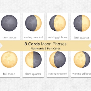 Moon Phases Montessori Flashcards: 3-Part Nomenclature (Printable)