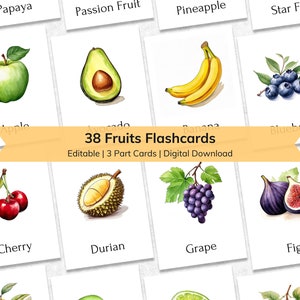 Editable Fruits Flashcards for Kids | Educational 3 Part Nomenclature Toddler Flash Cards | Printable Montessori Materials