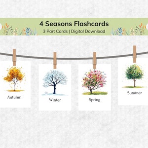 Flashcards de 4 temporadas para crianças | Materiais Montessori para impressão | Cartões flash infantis educativos de nomenclatura de 3 partes