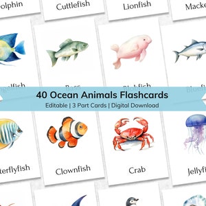 Cartes-éclair modifiables d'animaux de l'océan pour enfants, Cartes-éclairs pour tout-petits sous la mer en 3 parties | Matériaux Montessori imprimables