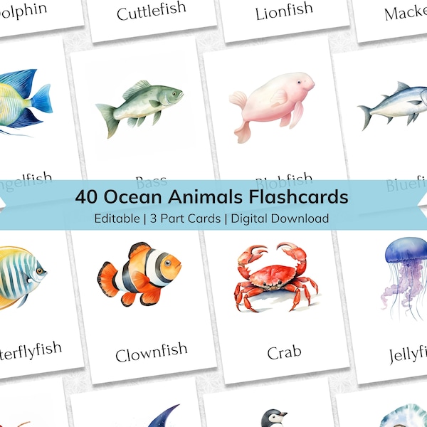 Editable Ocean Animals Flashcards for Kids, Under the Sea 3 Part Nomenclature Toddler Flash Cards | Printable Montessori Materials