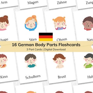 16 Tarjetas didácticas alemanas sobre partes del cuerpo para niños / Tarjetas educativas de nomenclatura de 3 partes para niños pequeños / Materiales Montessori de estudio alemán imprimibles