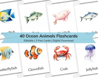 Ocean Animals Flashcards: Montessori 3-Part Cards (Digital Download)