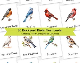 Backyard Bird Flashcards: Montessori 3-Part Cards Learning Materials (Digital Download)