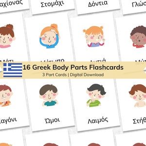 16 Flashcards de partes do corpo grego para crianças | Cartões flash educativos para crianças com nomenclatura de 3 partes | Materiais Montessori para impressão