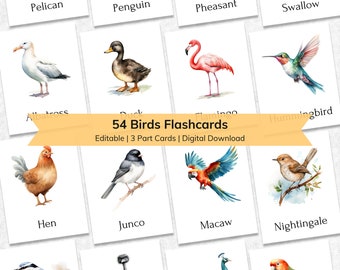 Editable Birds Flashcards: Montessori 3-Part Cards (Digital Download)