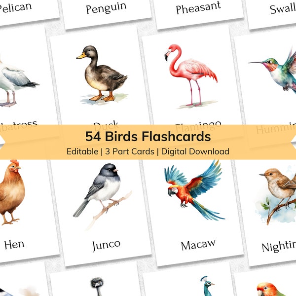 Editable Birds Flashcards | Printable 3 Part Nomenclature Toddler Flash Cards | Preschool Ornithology Learning | Montessori Materials