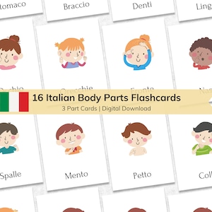 Italian Body Parts Flashcards: Montessori Learning (Digital Download)