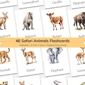 Editable Safari Animals Flashcards for Kids, Montessori Animal Name Learning Activity, Nomenclature 3 Part Toddler Flash Cards