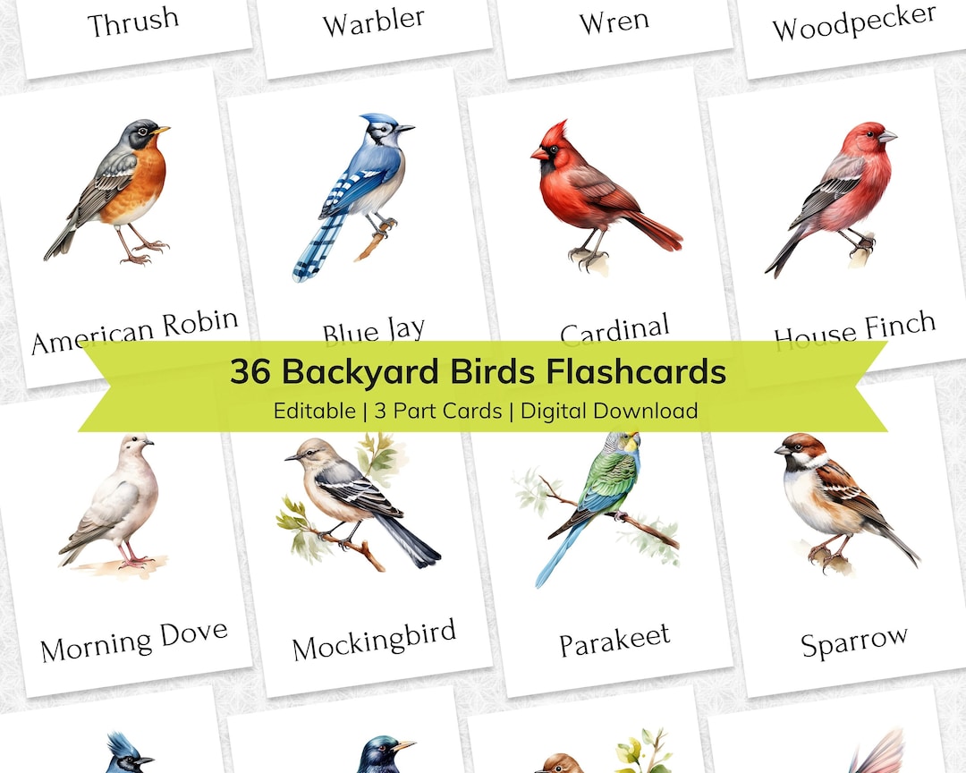 Backyard Bird Flashcards: Montessori 3-part Cards Learning Materials ...
