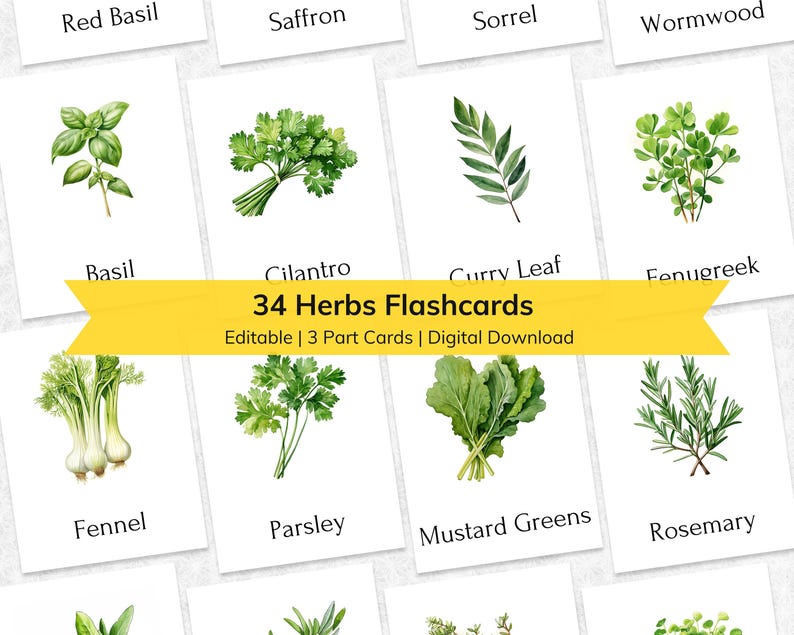 Herb Montessori Flashcards: Watercolor 3-part Cards (digital Download ...