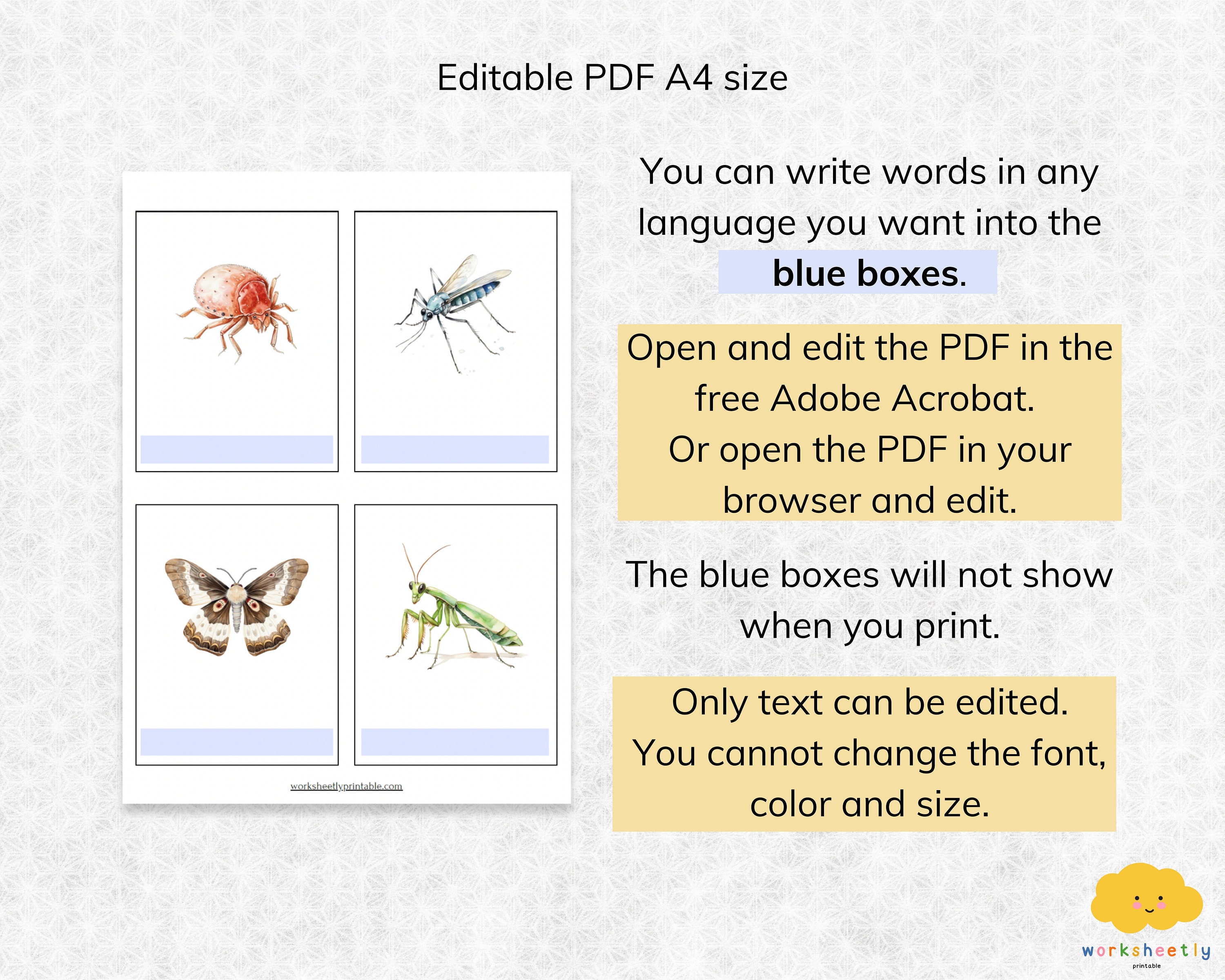 Editable Insect Flashcards for Kids, Printable 3 Part Nomenclature ...