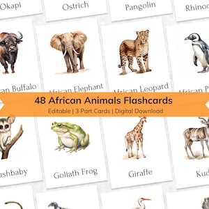 Editable African Animal Montessori 3-Part Flashcards for Kids, Printable Nomenclature Toddler Flash Card, Montessori Animal Name Learning