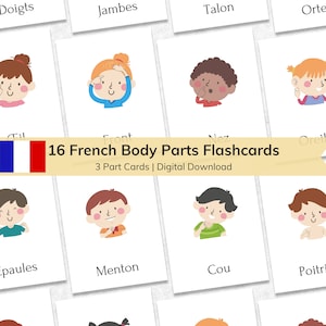 16 Französische Karteikarten mit Körperteilen für Kinder, druckbare 3-teilige Nomenklatur, Lernkarten für Kleinkinder, Frankreich mit Montessori Materialien