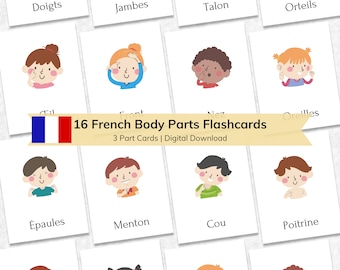 May include: 16 French body parts flashcards with colorful illustrations of a child pointing to different body parts. The flashcards are designed for learning French vocabulary.
