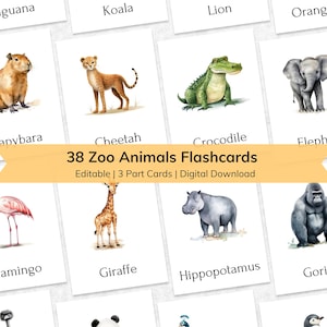 Editable Zoo Animal Flashcards for Kids, Printable 3 Part Nomenclature Toddler Flash Cards, Montessori Animal Materials
