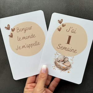 Cartes étapes éléphants bobo  version fille