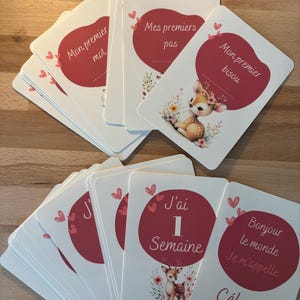 Pack cartes étapes cerf fleuri