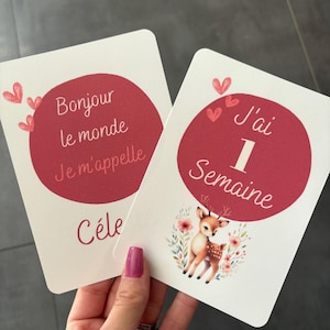 Cartes étapes cerf fleuri