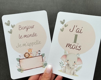 Cartes étapes jungle / safari