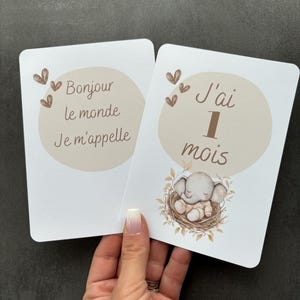 Cartes étapes éléphants version garçon