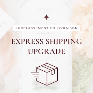 Peut inclure: Une carte de menu rectangulaire avec un fond blanc et du texte brun foncé. Le texte indique STUDIO DOUCEUR, SURCLASSEMENT EN LIVRAISON et EXPRESS SHIPPING UPGRADE. Un dessin au trait brun foncé d'une boîte avec des lignes de mouvement.