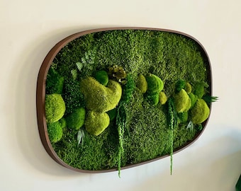 Framed Preserved Moss Wall Art, Large Forest Decor