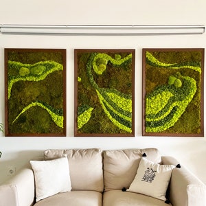 Set Of 3 Moss Wall Art, Preserved Moss Decor, Moss Wall Decor, Moss Wall Panel, Moss Ar, Moss Frame Artwork, Green Real Plant Wall Art