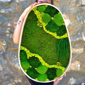 Preserved Moss Wall Art, Moss Art, Wooden Framed Moss Decor, Moss Frame, Moss Artwork, Moss Wall Panel, Green Real Plant Wall Art