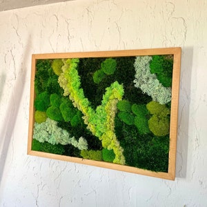 Moss Wall Art, Preserved Moss Decor, Set of Wooden Framed Moss Wall Panel, Moss Frame, Green Wall Art, Real Plant Artwork