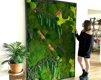 Large Preserved Moss Wall Art: Framed Living Wall Decor