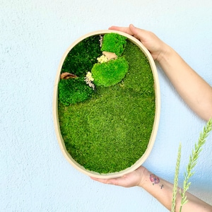 Moss Wall Art, Moss Art, Wooden Framed Preserved Moss Decor, Moss Frame, Moss Artwork, Moss Wall Panel, Green Real Plant Wall Art