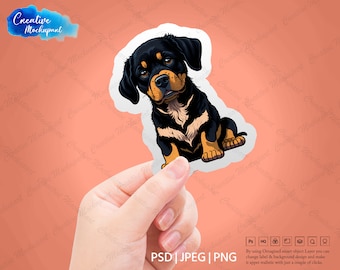 Hand Holding Sticker Mockup | Decal Mockup, Cute Sticker Mockups, Isolated Hand Holding Sticker Mockup | Sticker Finger Mockup in PSD & PNG