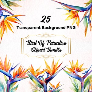 Bundle de cliparts PNG oiseau de paradis, sublimation de fleurs tropicales, art botanique aquarelle, graphisme floral en téléchargement numérique
