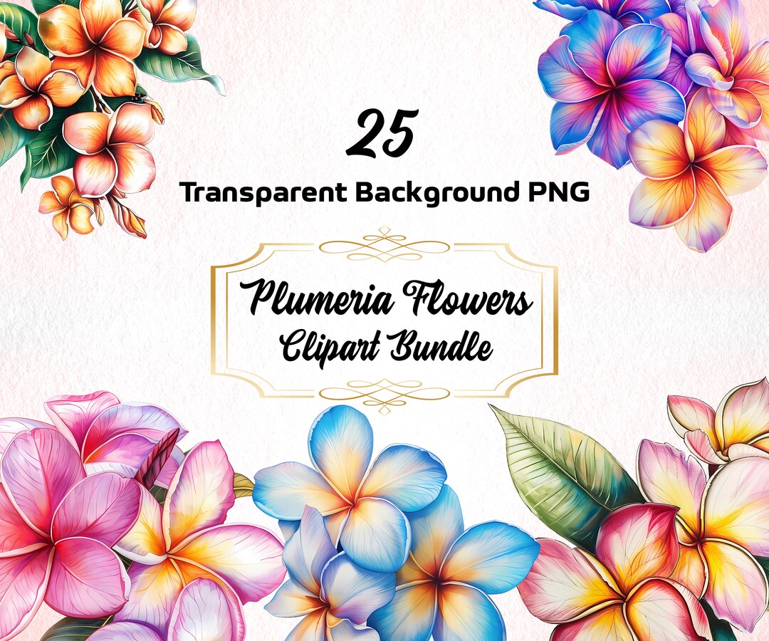 Cute Plumeria Flowers Clipart Bundle PNG Hawaiian Floral Printable Art Elegant Flowers Image ...