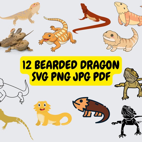 12 Paquete de imágenes prediseñadas de dragón barbudo SVG PNG JPG PdF, imágenes prediseñadas de animales de dibujos animados, imágenes prediseñadas de lagarto, imágenes prediseñadas de reptiles, ilustraciones gráficas