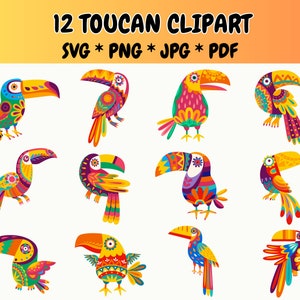 Paquete de 12 imágenes prediseñadas de tucán (SVG/PNG): Aves exóticas, aves coloridas, aves tropicales, tucán de dibujos animados, animales exóticos, ilustraciones gráficas.