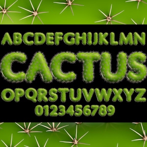 Cactus police Clipart PNG SVG Bundle, plante police Svg, cactus lettres Png, police de l'alphabet floral Svg, Alphabet occidental, cactus numéros