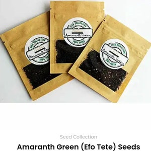 Amaranth Green (Efo Tete) Seeds For Planting