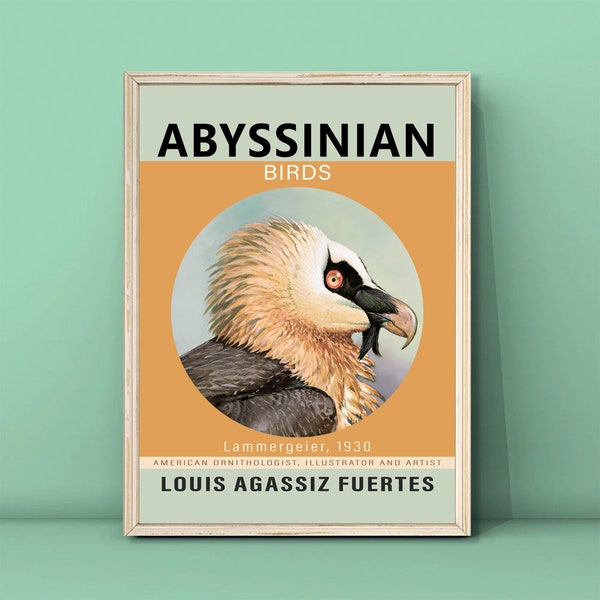 Louis Agassiz Fuertes Lammergeier, 1930 Print,Album of Abyssinian Birds and Mammals,Vintage Birds Poster,DIGITAL DOWNLOAD