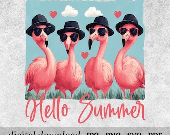 Flamenco de verano PNG, Verano vintage PNG, Verano divertido PNG, Verano femenino PNG, Flamenco PNG, Verano rosa PNG, Descarga digital por sublimación